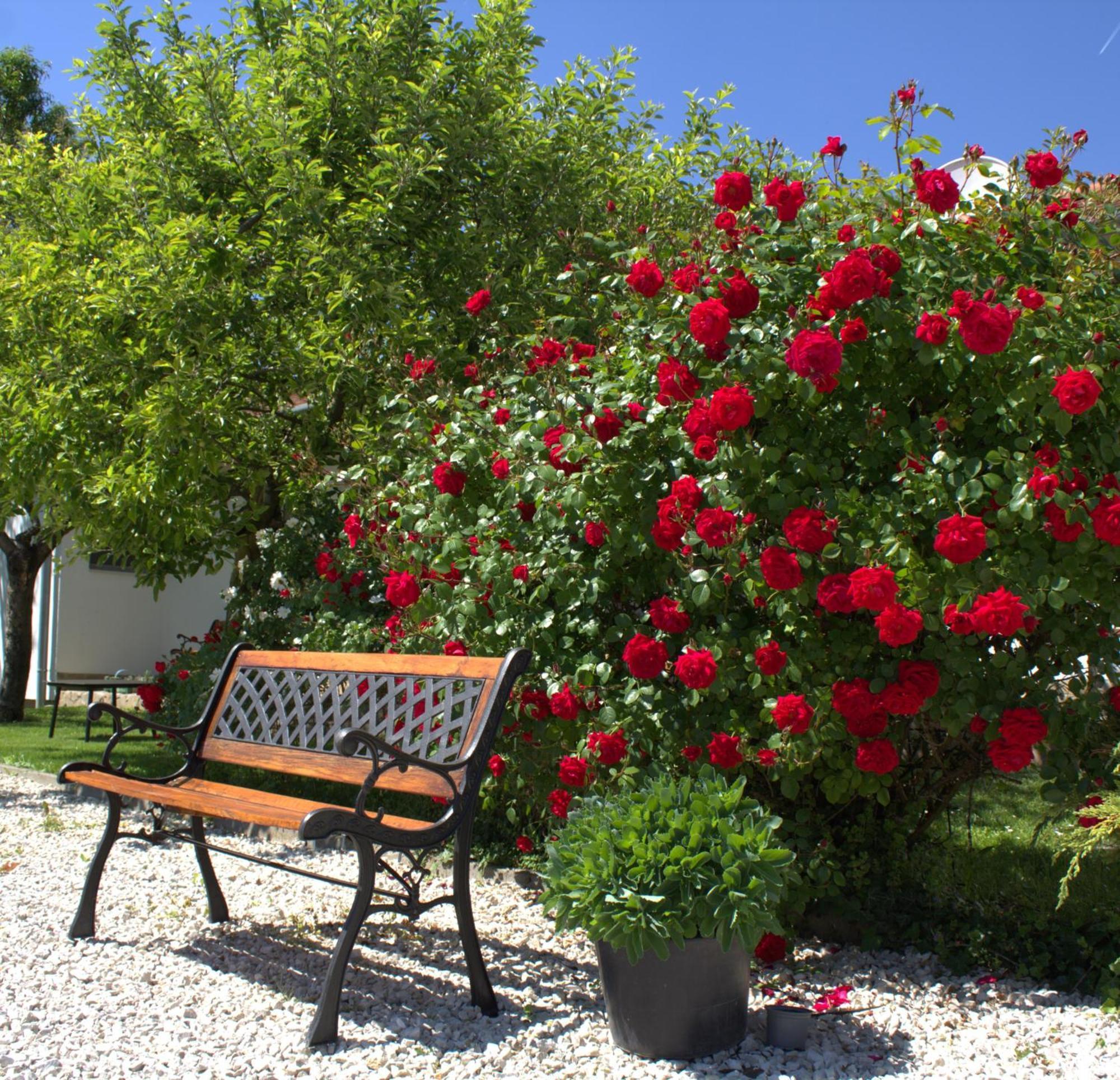The Secret Garden - Keszthely Bed & Breakfast Exterior photo